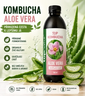 BIO KOMBUCHA ALOE VERA  500 ML